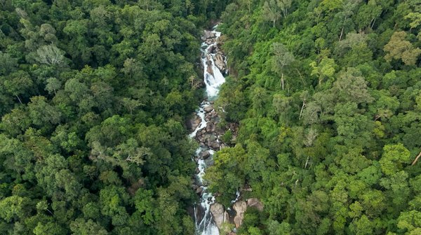 Panneau solaire photovoltaïque : vers une énergie durable et accessible